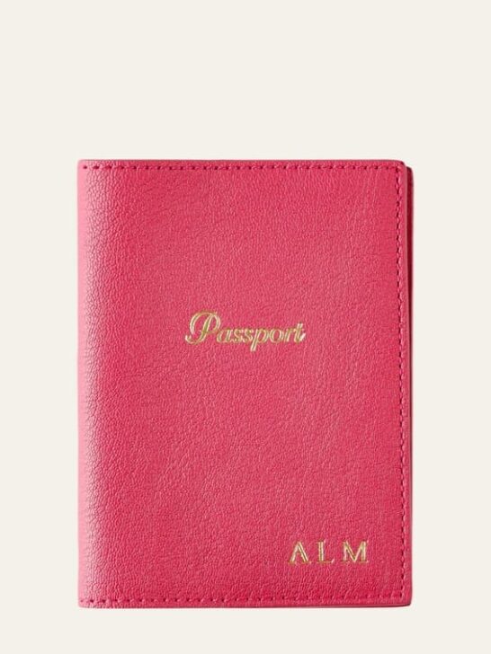 15 Chic Designer Passport Holders For Your Honeymoon