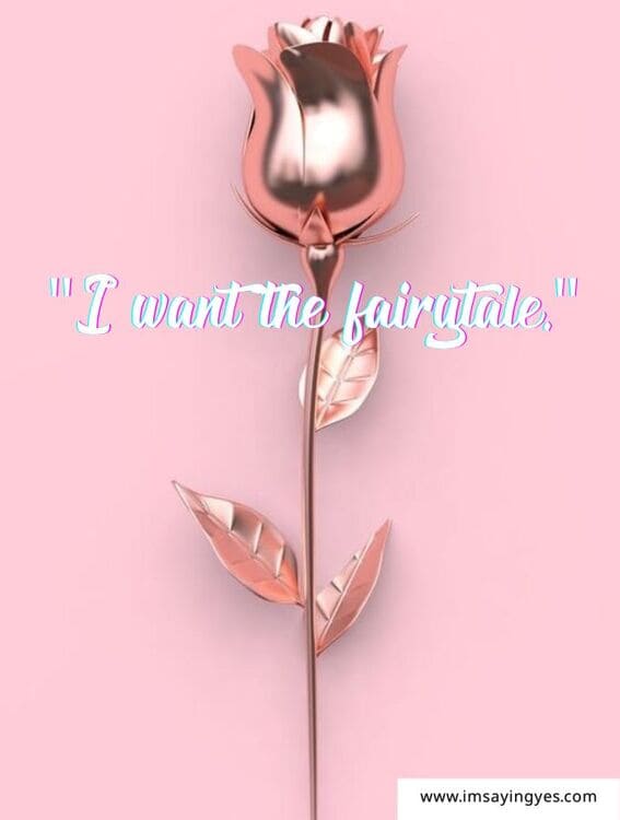 wedding instagram caption, "I want the fairytale."